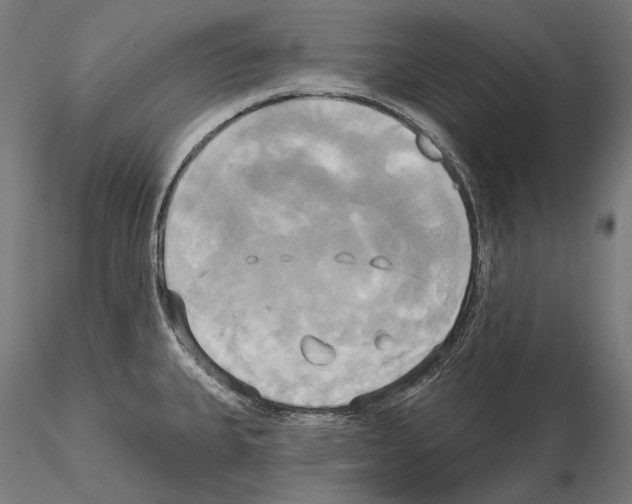 X0000115091335200912081226