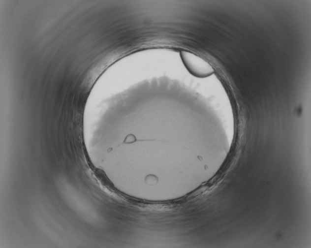 X0000115091337200912081226