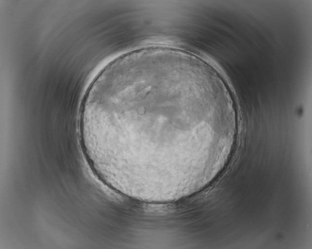 X0000115091339200912081226