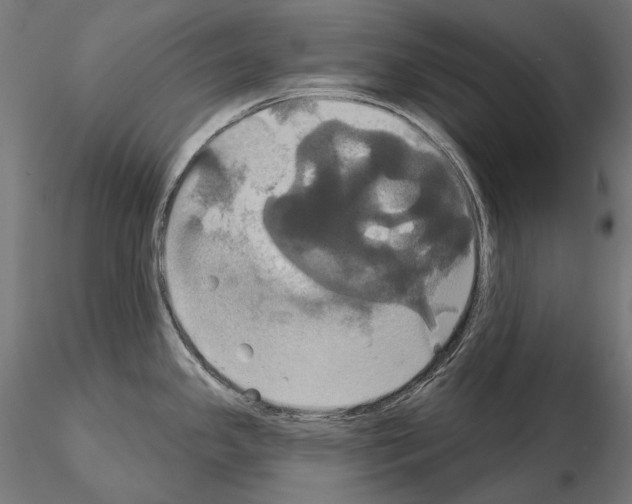 X0000115091341200912081226