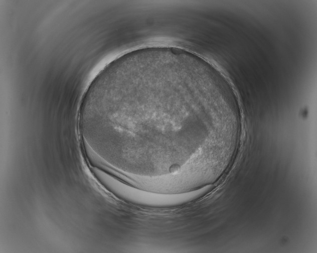 X0000115091342200912081226