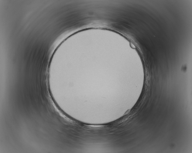 X0000115091343200912081226