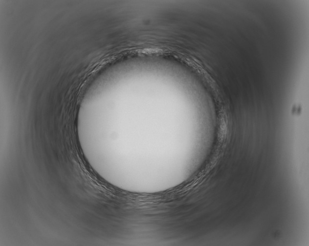 X0000115091345200912081225