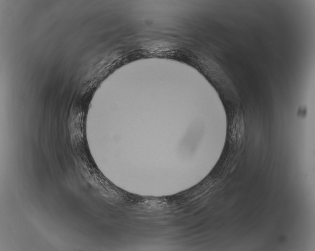 X0000115091346200912081225
