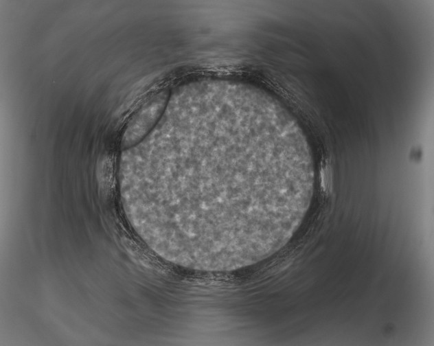X0000115091347200912081225