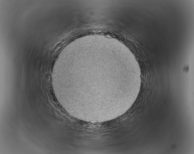 X0000115091349200912081225