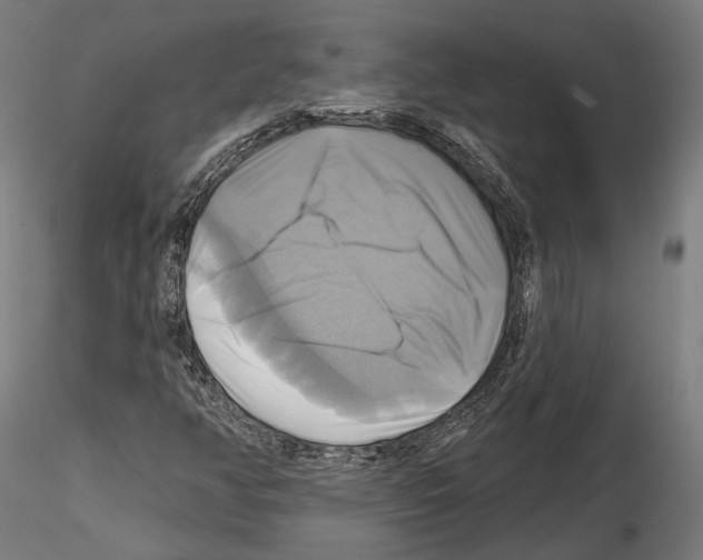 X0000115091350200912081225