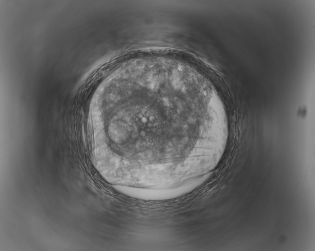 X0000115091351200912081225