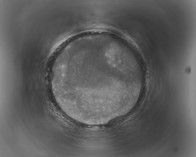 X0000115091352200912081225