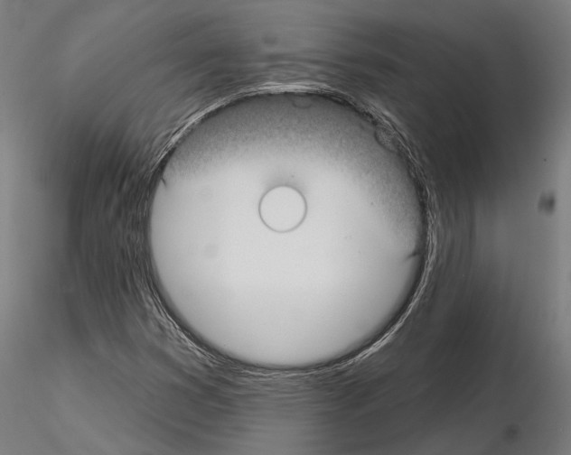 X0000115091353200912081225