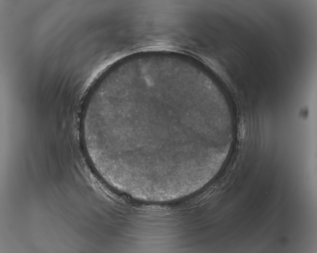 X0000115091356200912081225