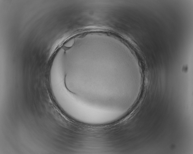 X0000115091357200912081225