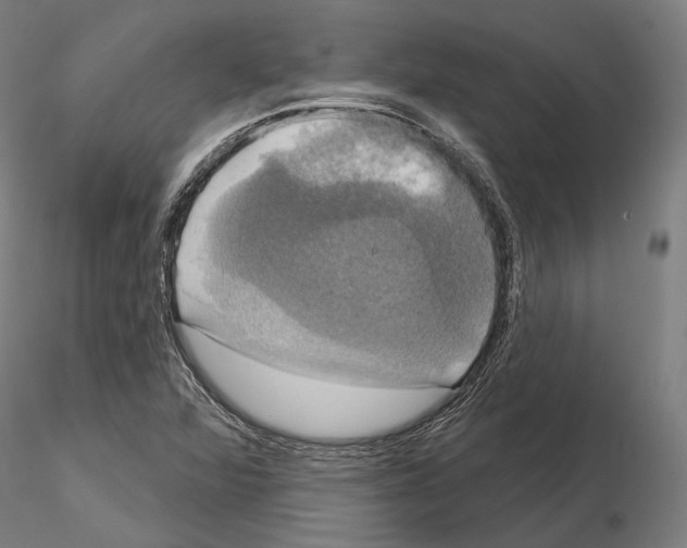 X0000115091360200912081225