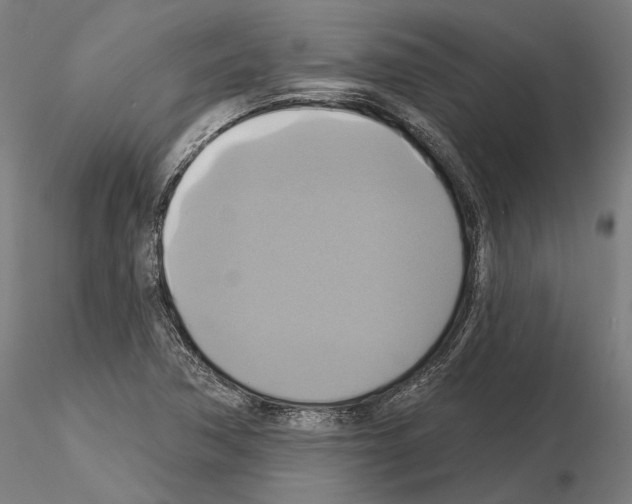 X0000115091362200912081225