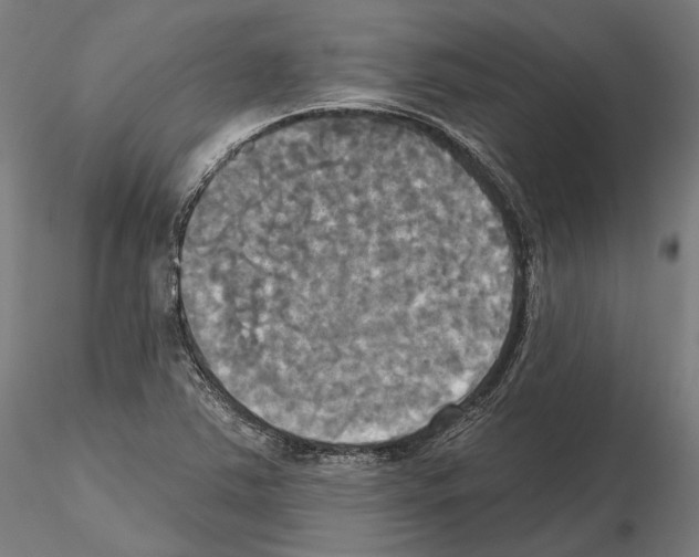 X0000115091363200912081225