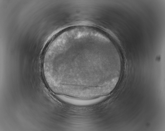 X0000115091364200912081225