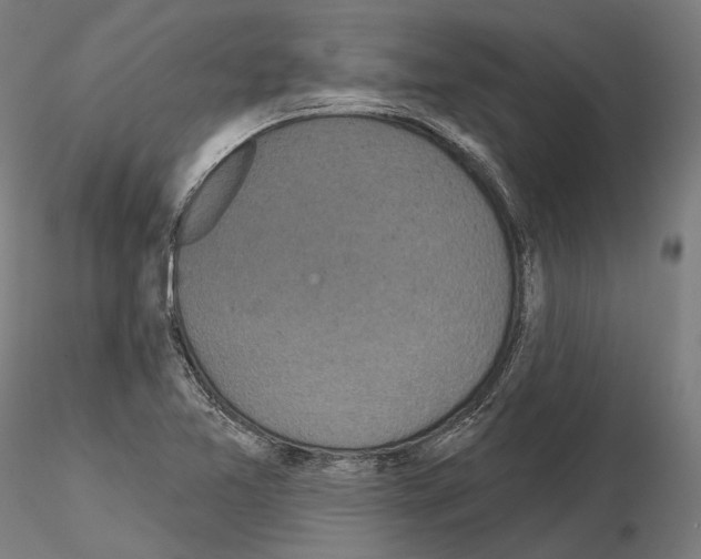 X0000115091365200912081225