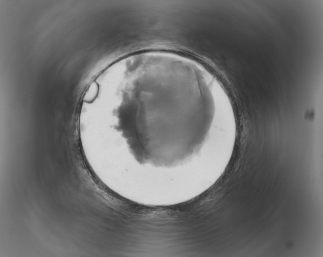 X0000115091367200912081225