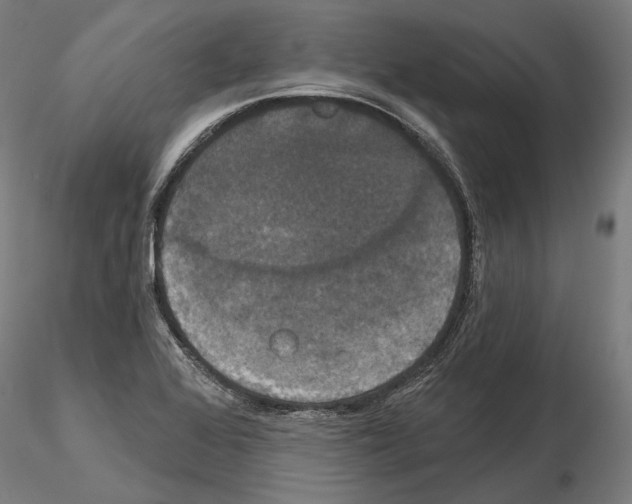 X0000115091368200912081225