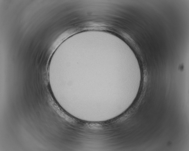 X0000115091370200912081225