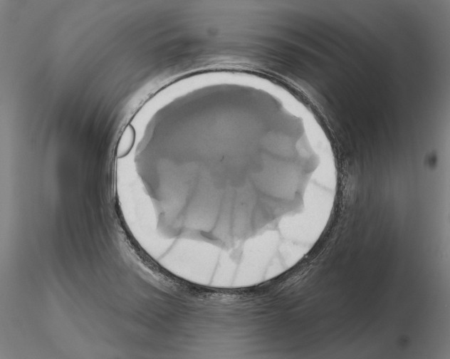 X0000115091371200912081225