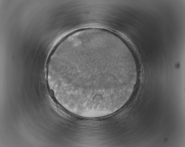 X0000115091372200912081225
