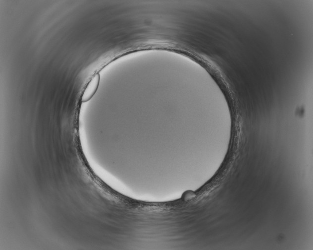 X0000115091373200912081225