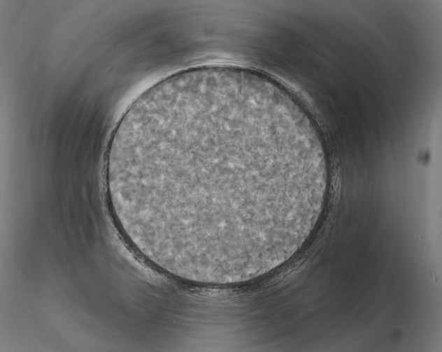 X0000115091375200912081224