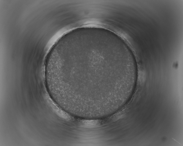 X0000115091376200912081224