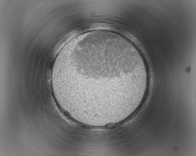 X0000115091377200912081224