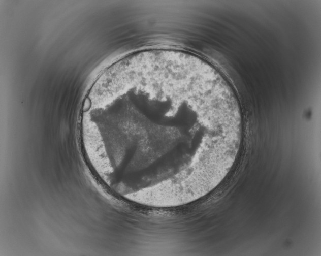 X0000115091379200912081224