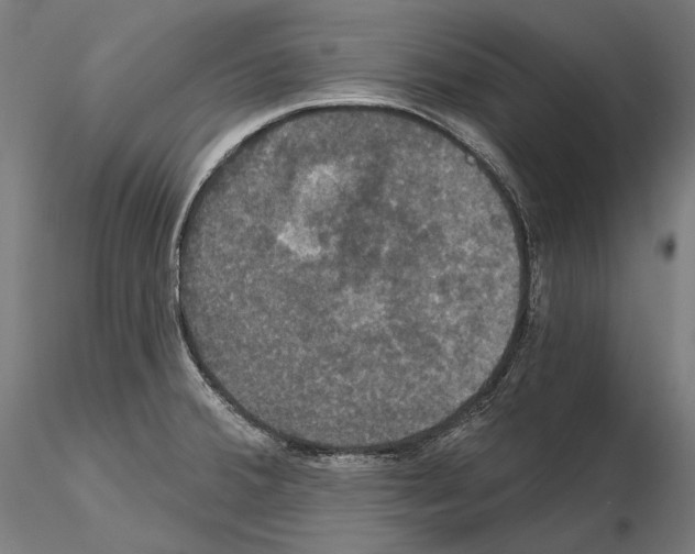X0000115091380200912081224