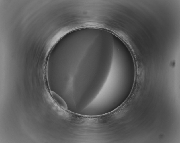 X0000115091381200912081224