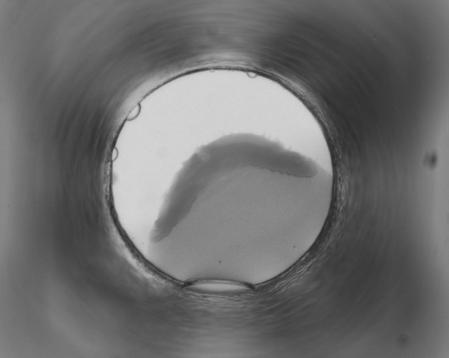 X0000115091383200912081224