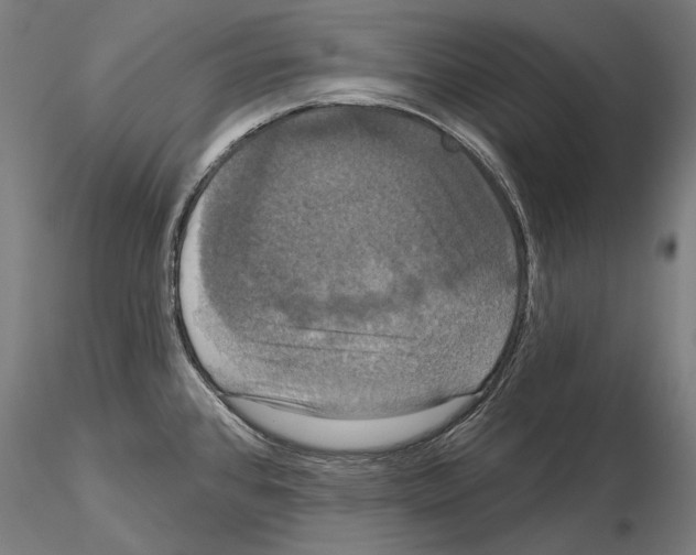 X0000115091384200912081224