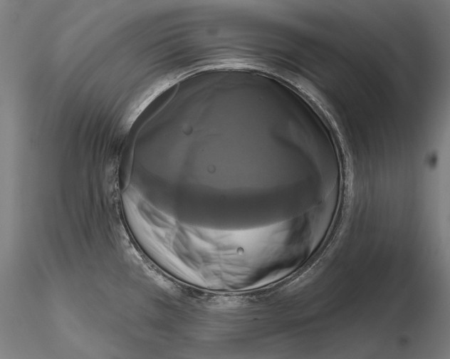 X0000115091385200912081224