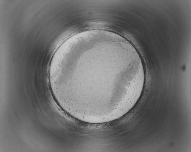 X0000115091386200912081224