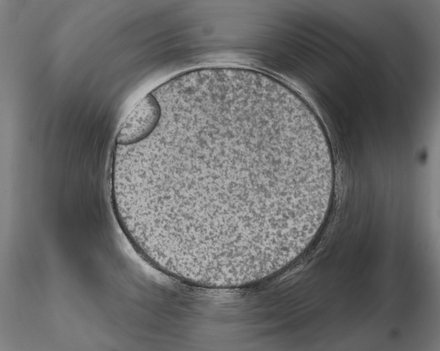 X0000115091387200912081224