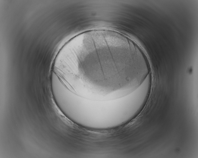X0000115091388200912081224
