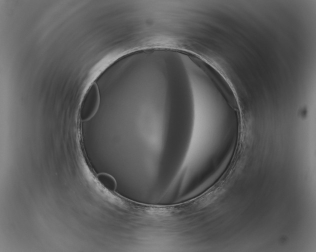X0000115091389200912081224