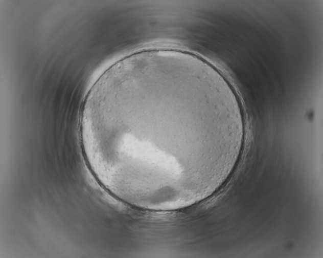 X0000115091390200912081224