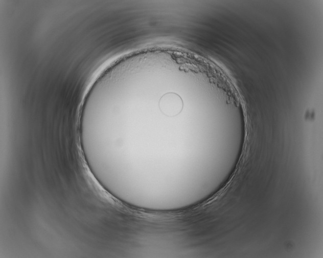 X0000115091392200912081224