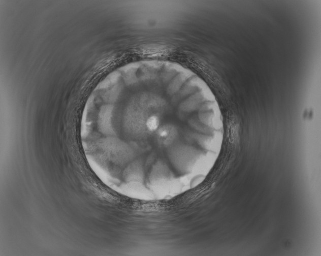 X0000115091393200912081224