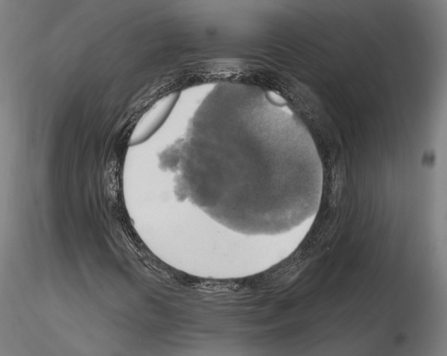X0000115091394200912081224
