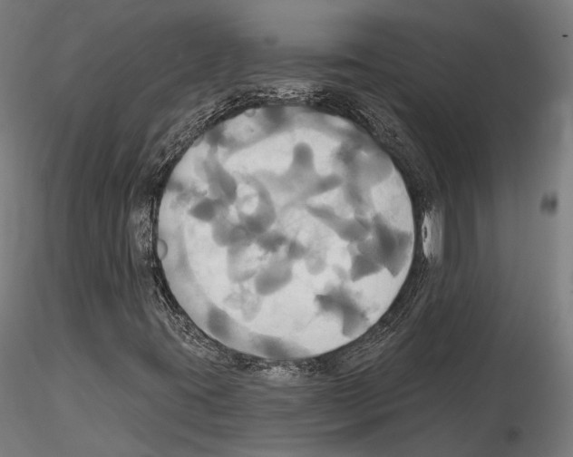 X0000115091395200912081224