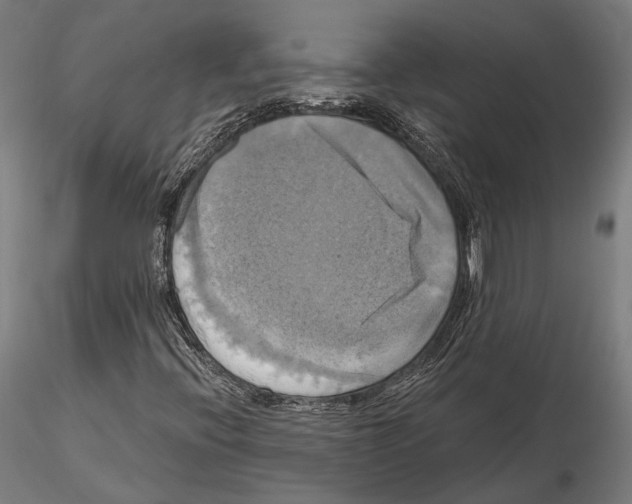 X0000115091396200912081224