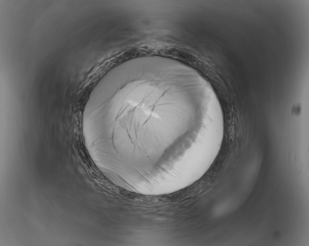 X0000115091397200912081224