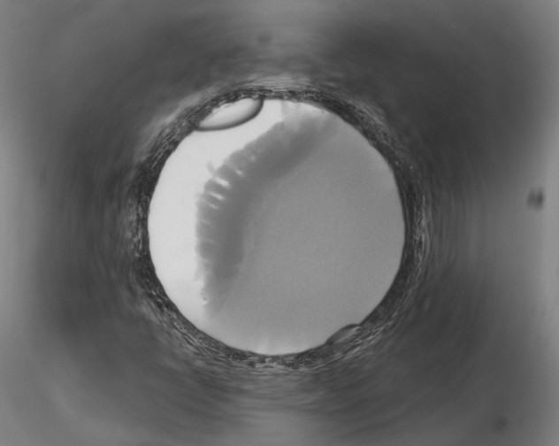 X0000115091398200912081224