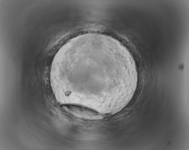 X0000115091399200912081224