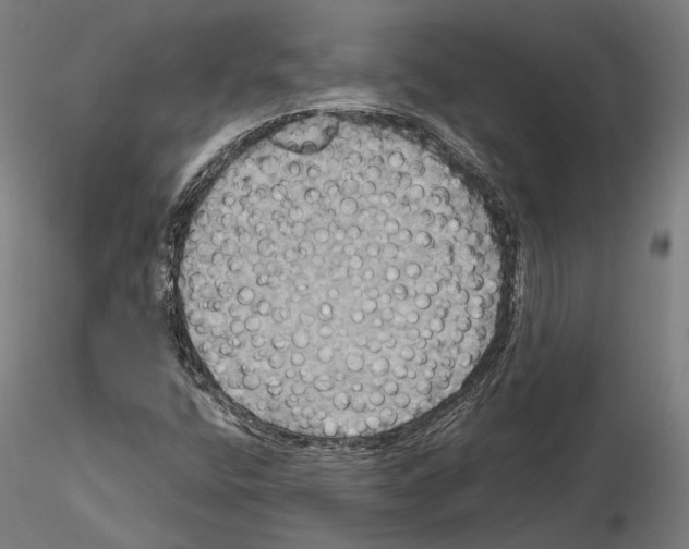 X0000115091400200912081224